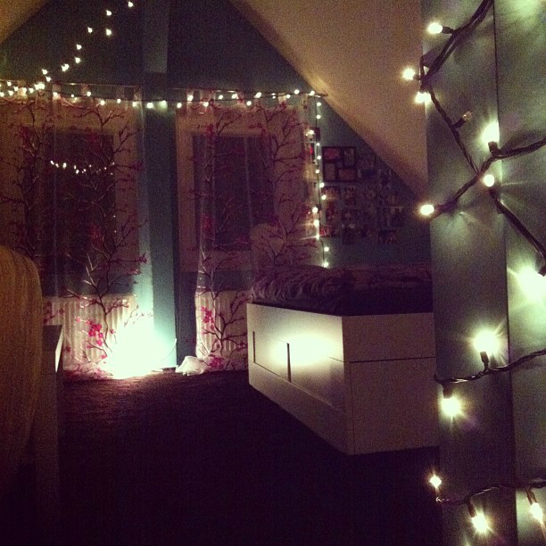 christmas lights.