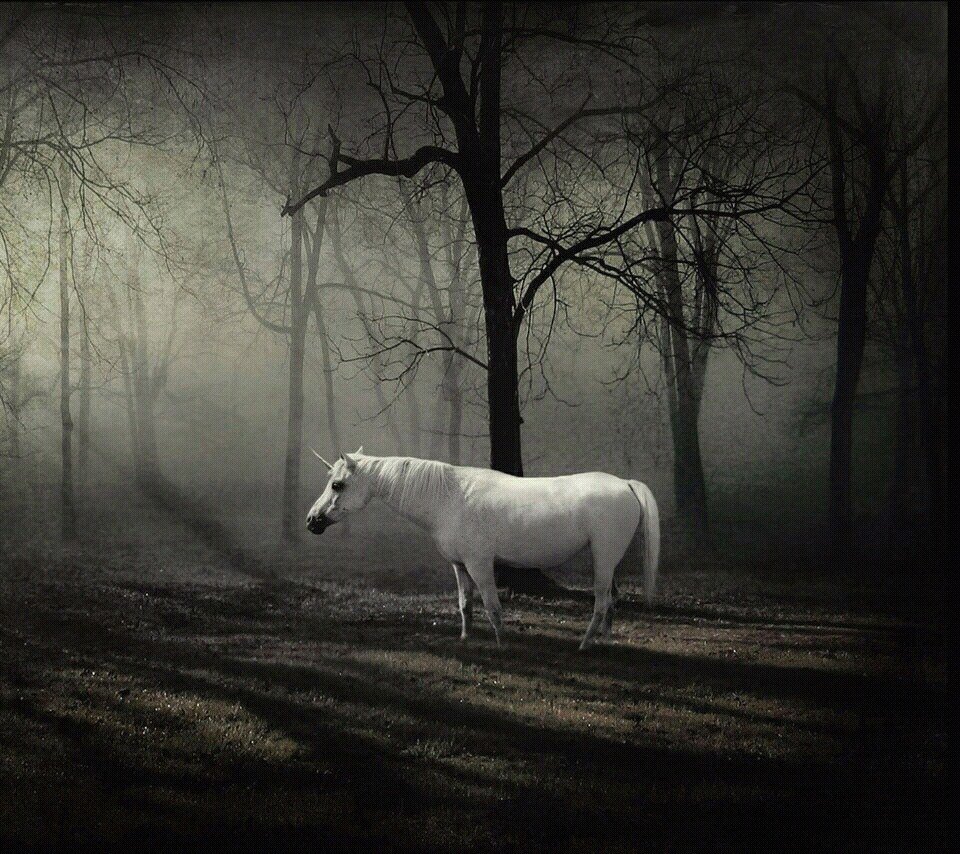 unicorns ;3
