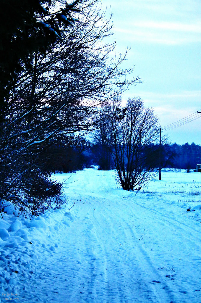 112. Zima, zima