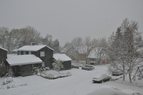 Zima w Trondheim