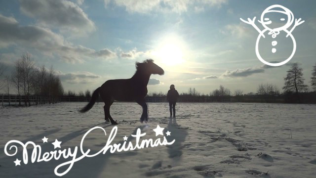 Merry Christmas! 