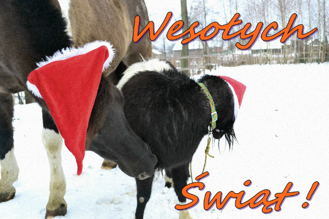 Wesoych :)