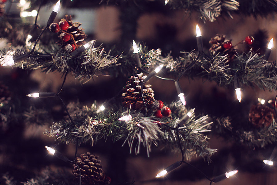 merry xmas