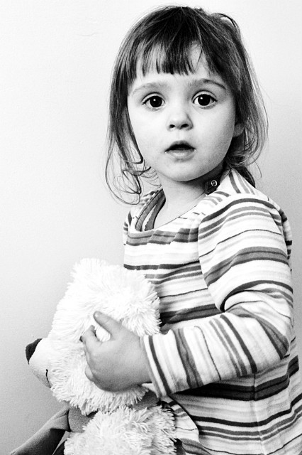 Pola . 