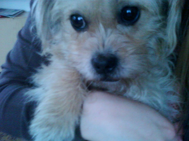 omnomnomnom ;*