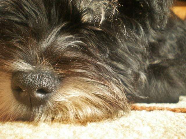 Axel!.