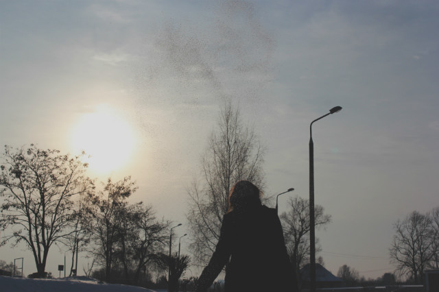 Snowy snow