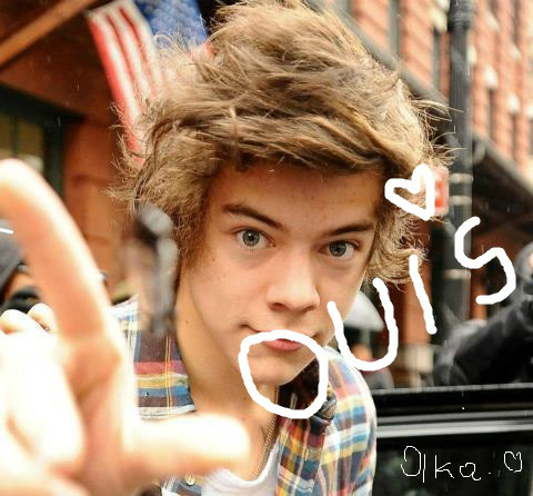 directioner 