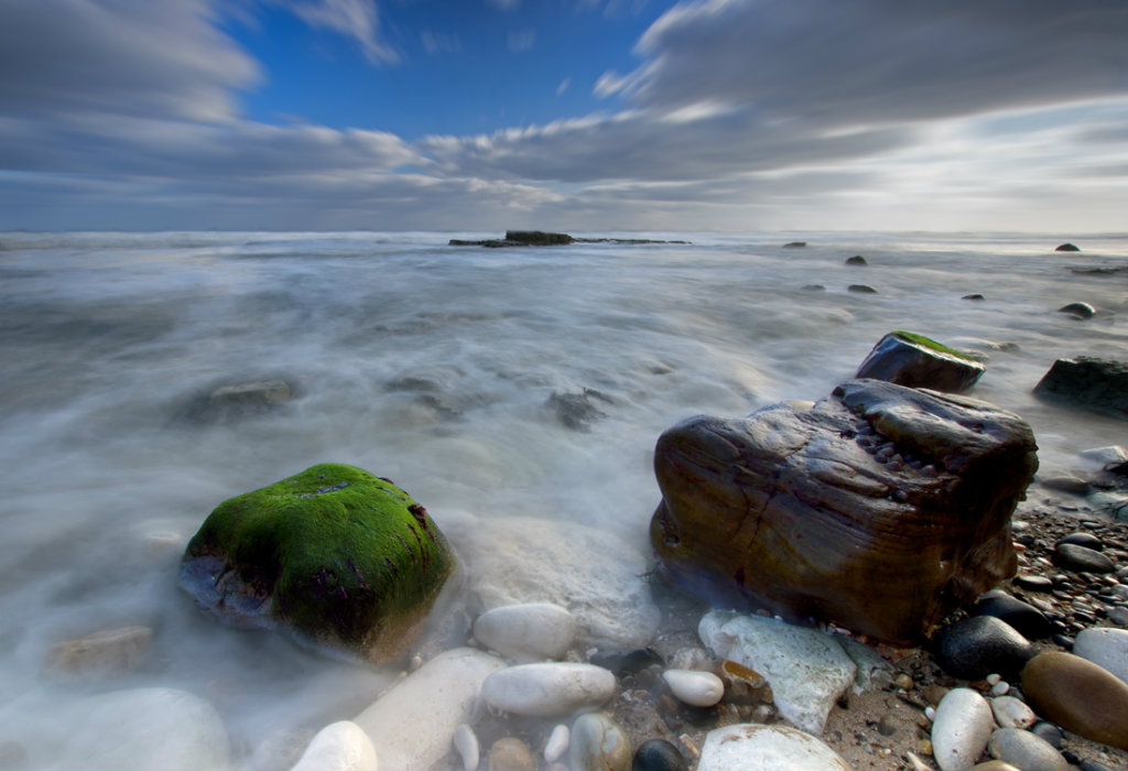 Flamborough Head-Morze Pnocne