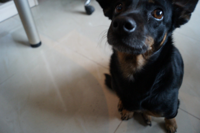 Fiona