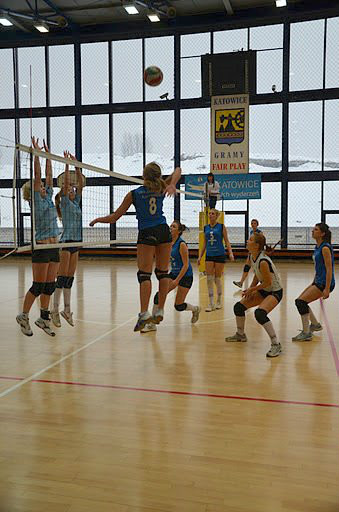 Volley