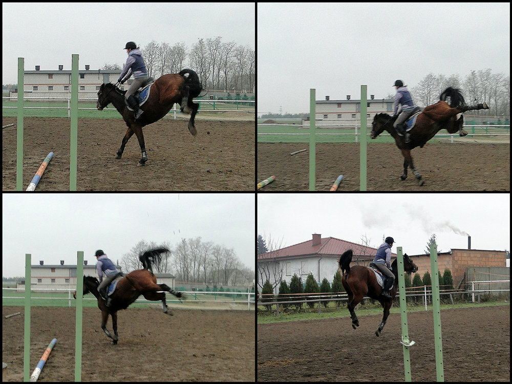 sellenka i my 