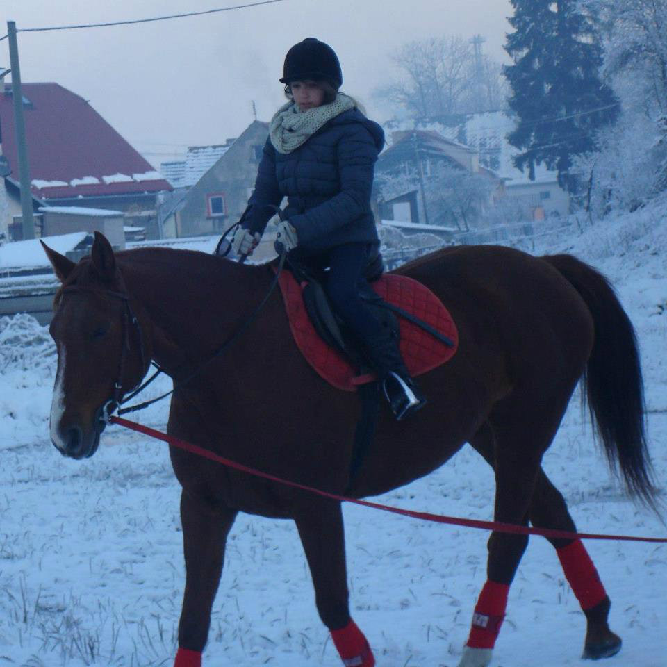Nauka jazdy konnej 