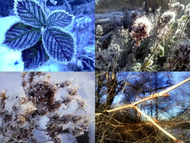 winterwinterwinter