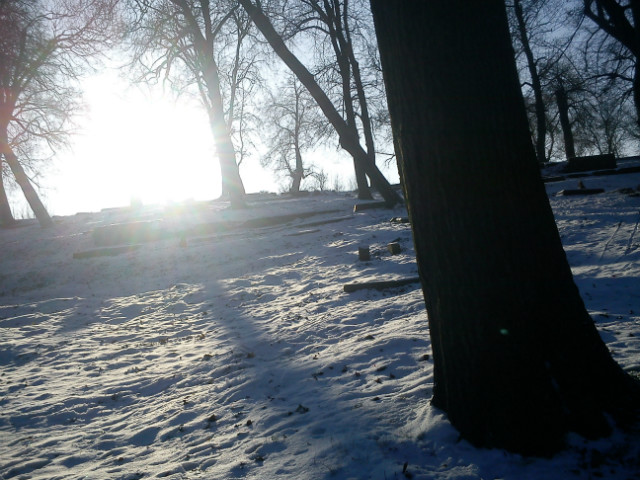 owidzka;p