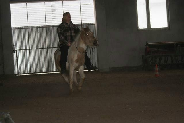 Jogobogusia :)