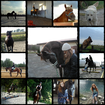 Podsumowanie roku 2012 