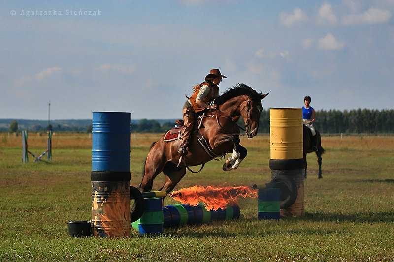 fot. Agnieszka Sieczak