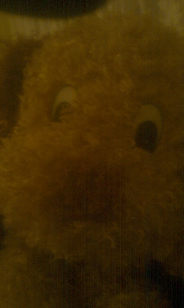 sylwester ; D