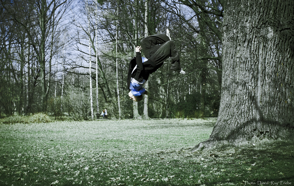 Wall flip a tree