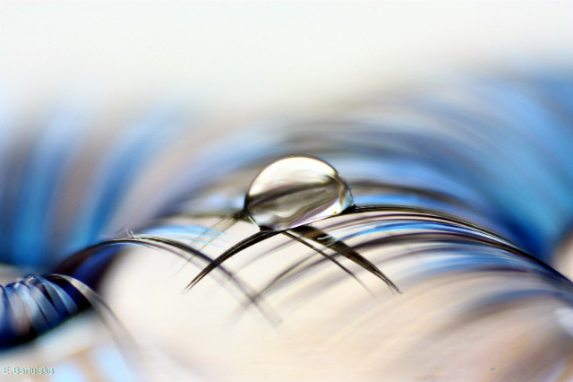 macro.