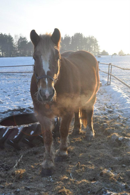 baasiiek < 3