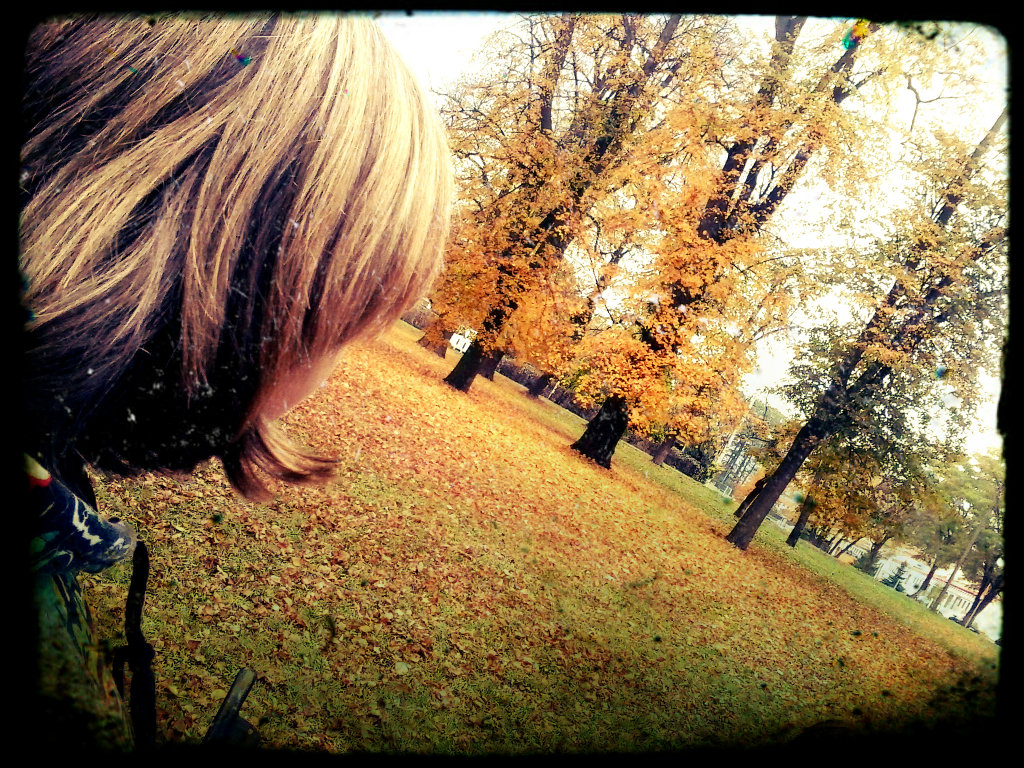 park...