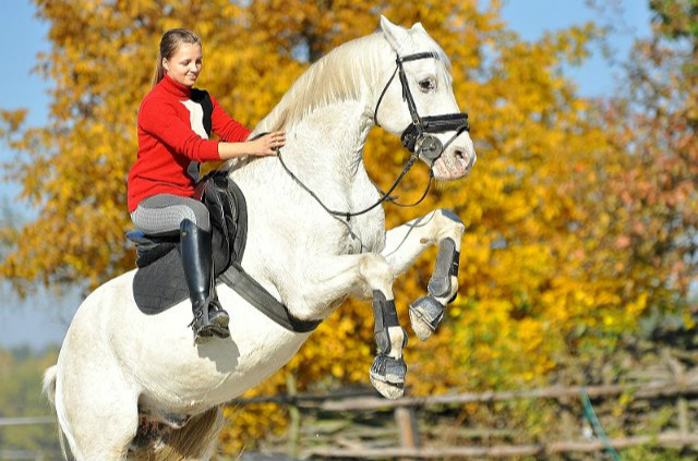 Zimowa niespodzianka. #19