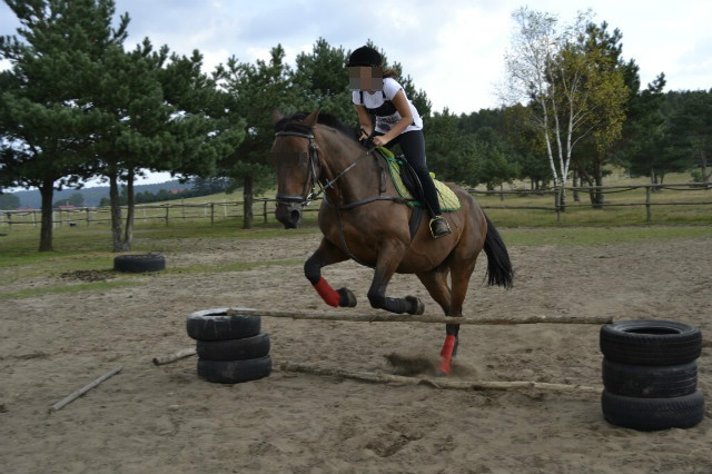 nikol155
