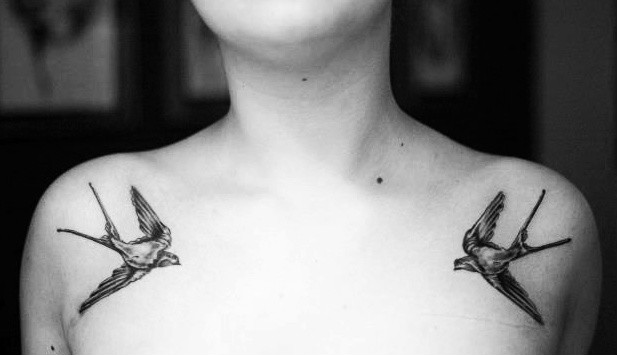 Birds