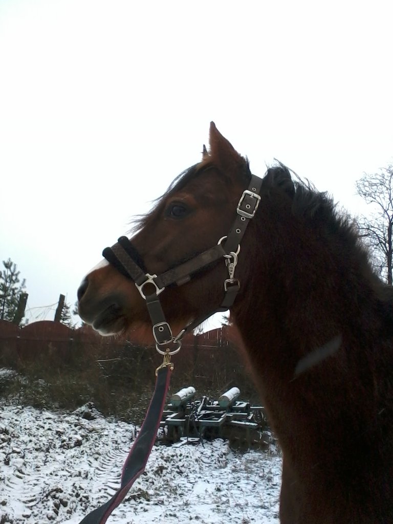 moje :*