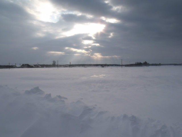 Zima