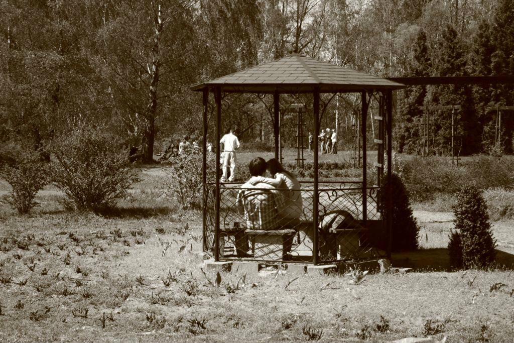 Pamietnik obserwatorki cz.3