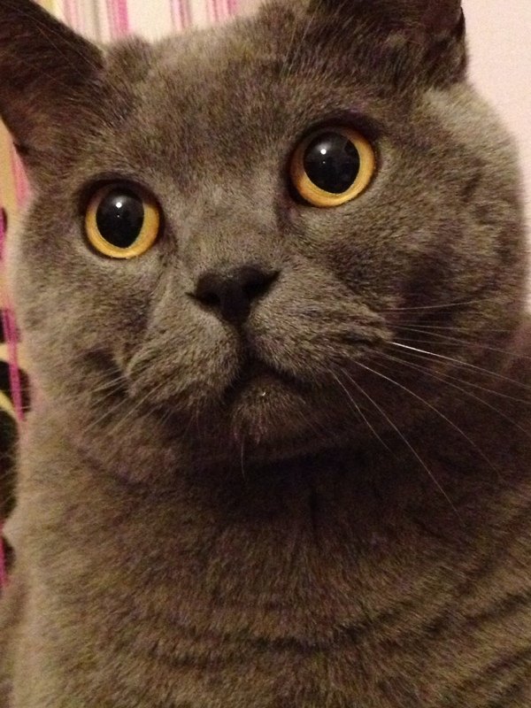 O.o