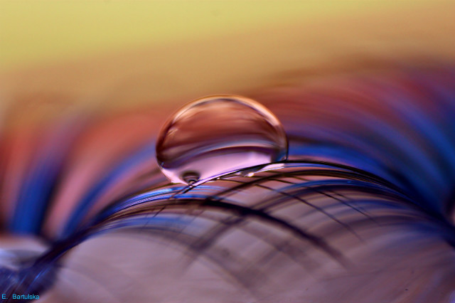macro.