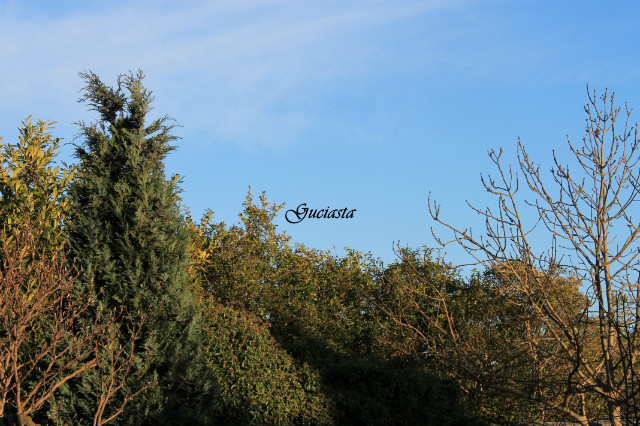  Spring II
