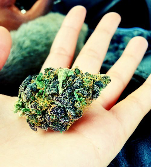 fuck! im high...