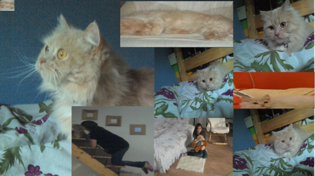 Lilia ;*