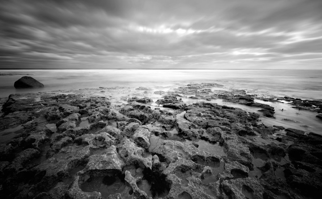 Flamborough Head-Morze Pnocne