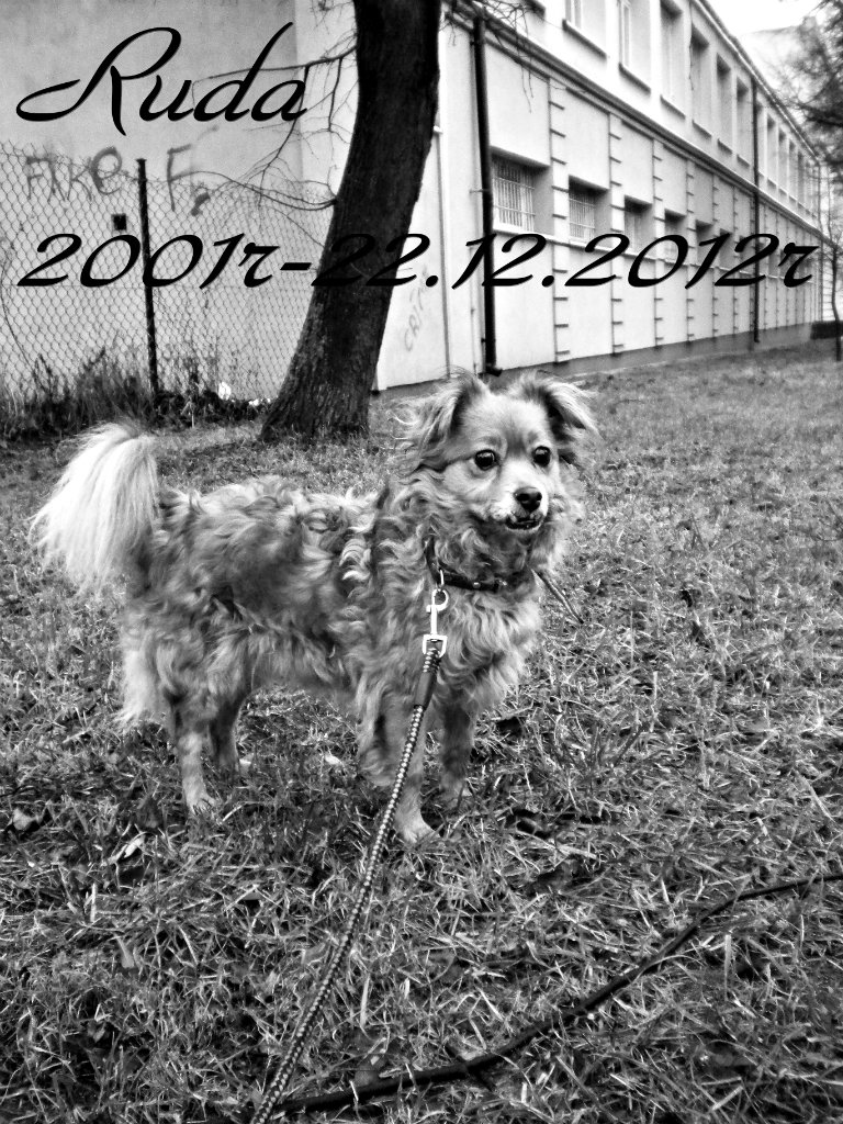 ^^Moja maleka^^