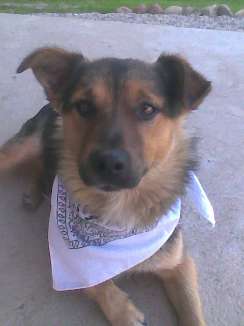Max 