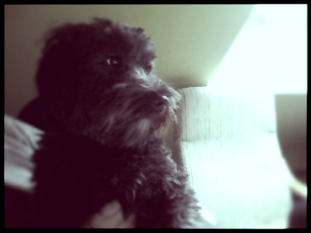 Lilka