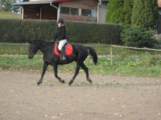 Dalmacja
