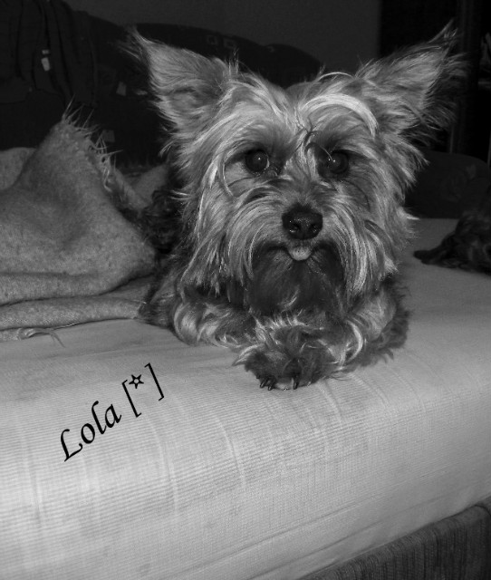 Lola  ; *