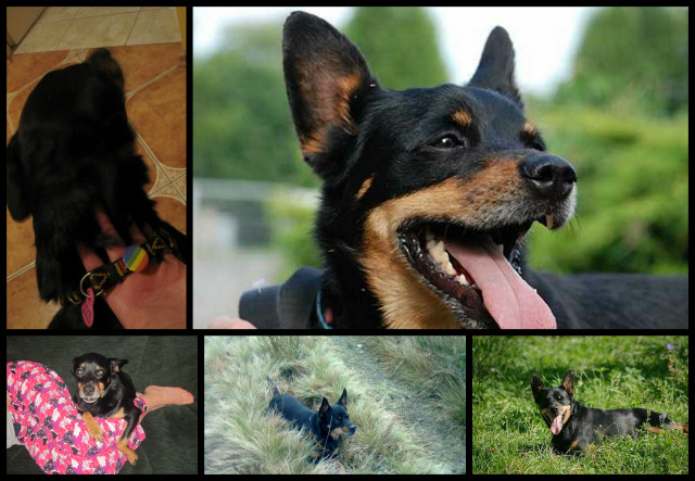Nasz najwspanialszy syn! :D