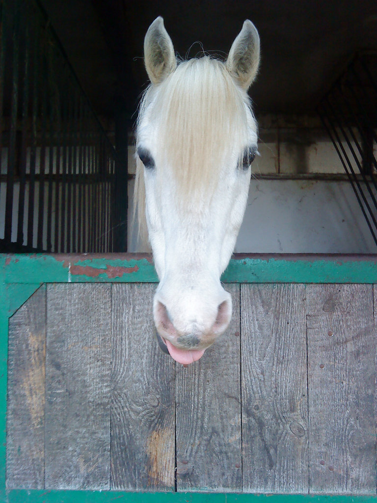 Billy