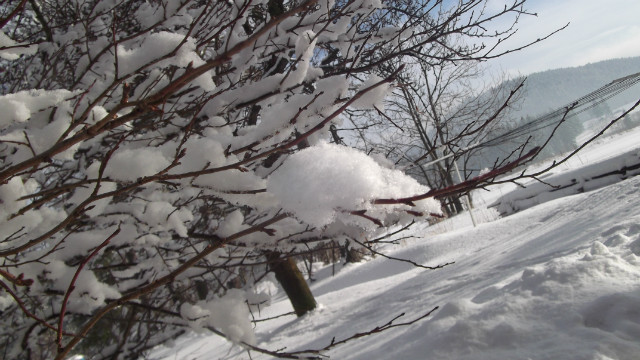 czwart . 