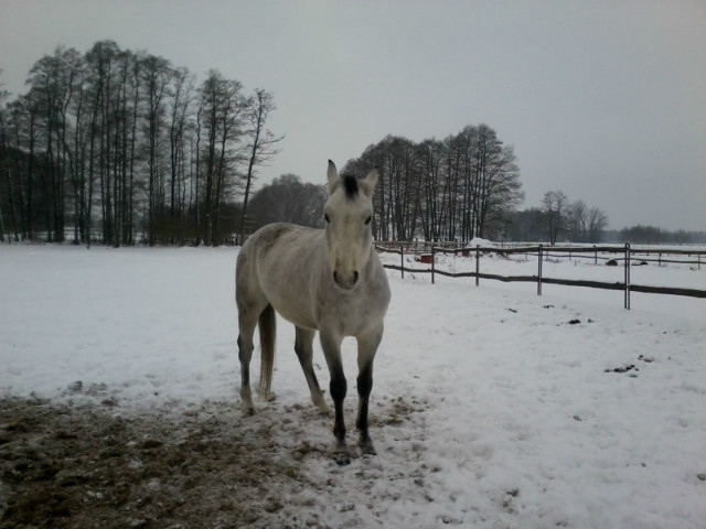 Zimowo :)