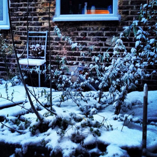 Winter