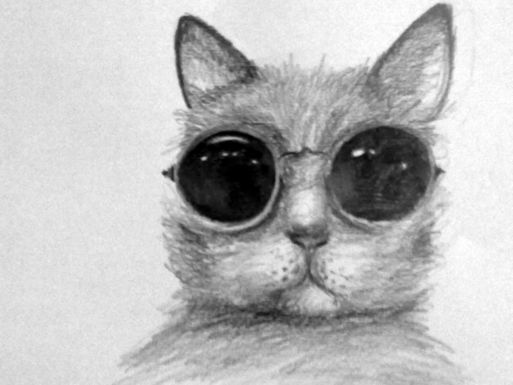 Kociaczek :D 